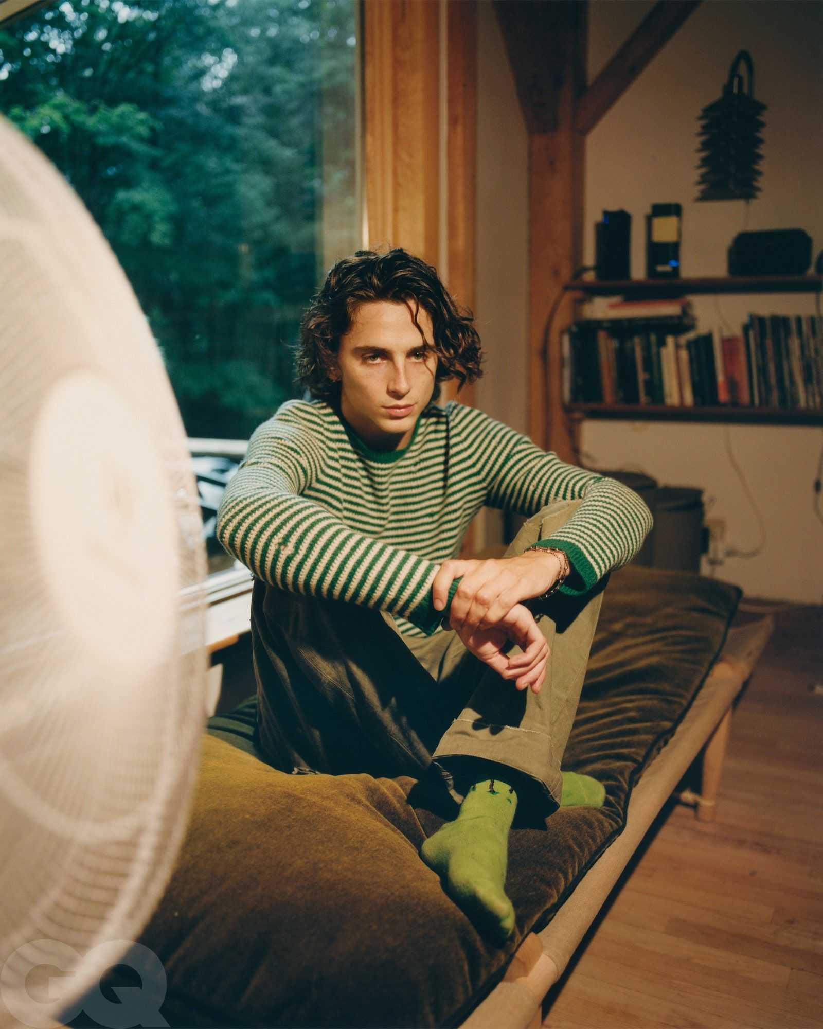 Timothée Chalamet - Renell Medrano - 379