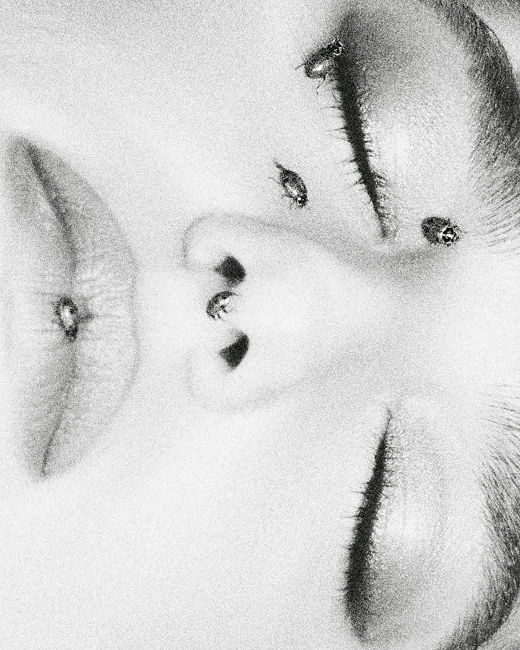 Dazed Dua Lipa - Thibaut Grevet - 4900