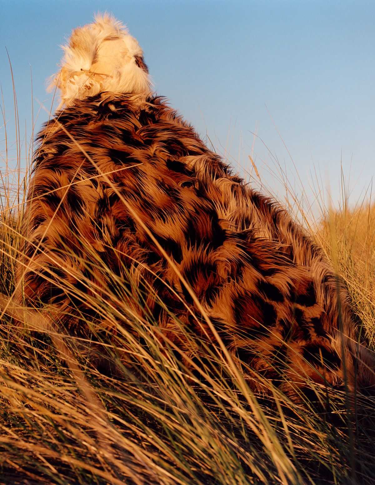W Magazine  - Jamie Hawkesworth  - 2193