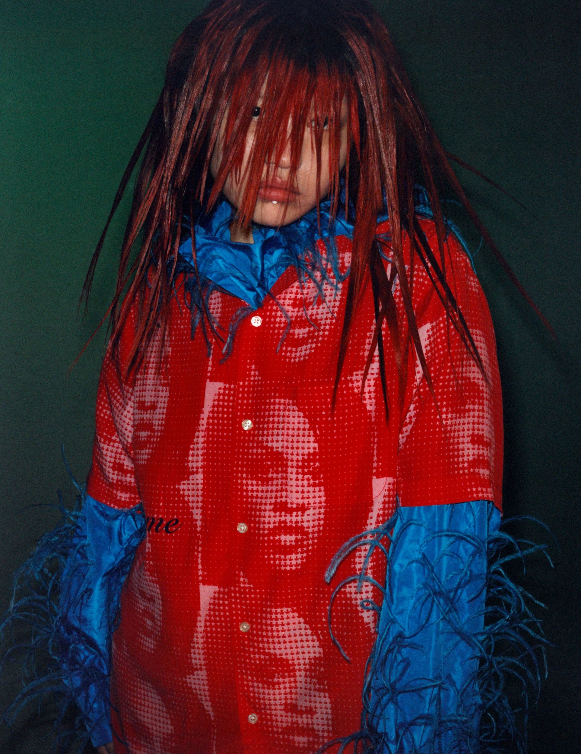 The Face  - Alex Leese