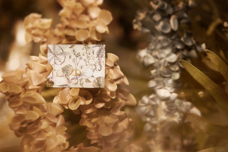 Dior Cruise 2025 - Agnes Lloyd-Platt