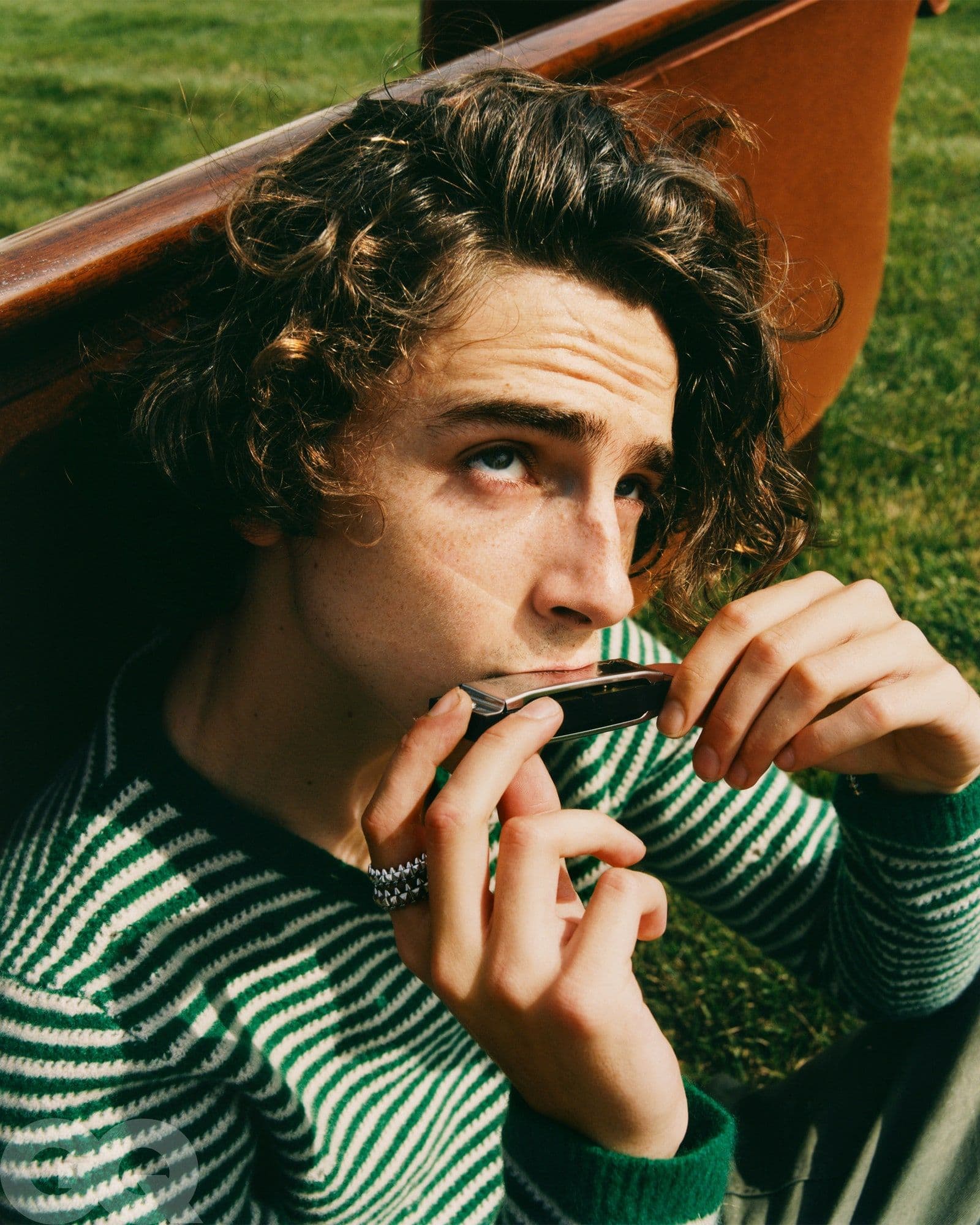 Timothée Chalamet - Renell Medrano