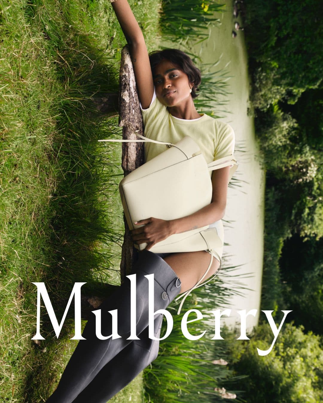 Mulberry - Guen Fiore