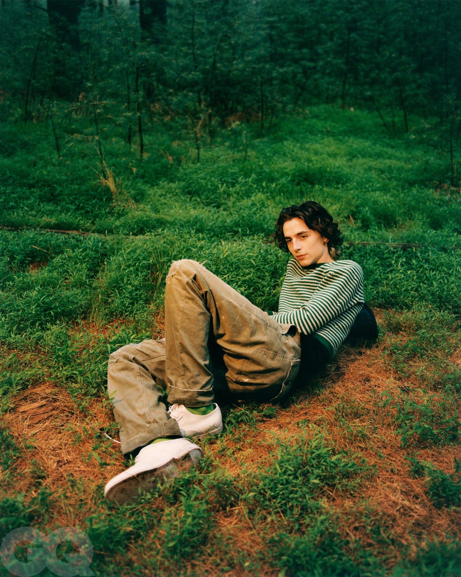 Timothée Chalamet - Renell Medrano