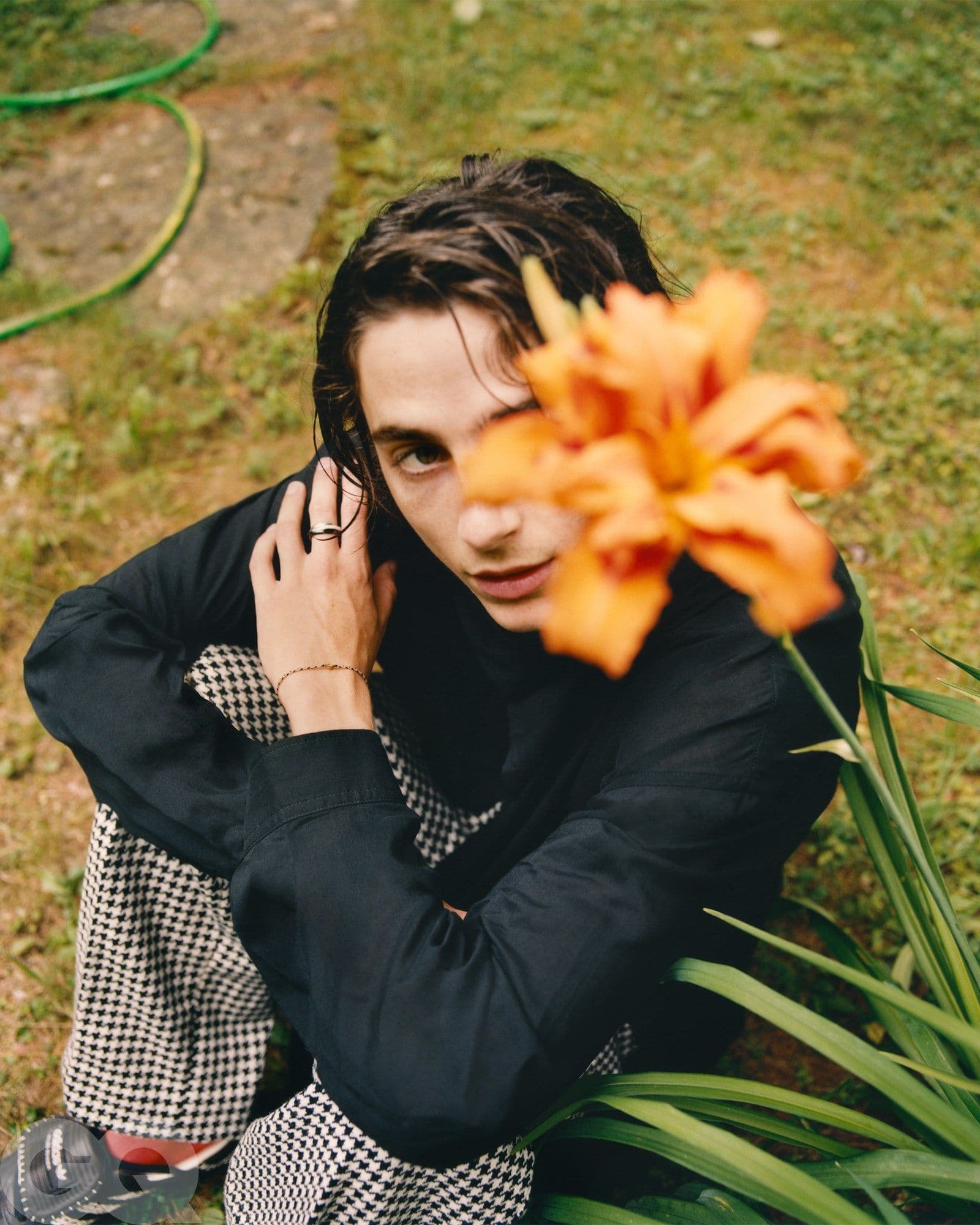 Timothée Chalamet - Renell Medrano
