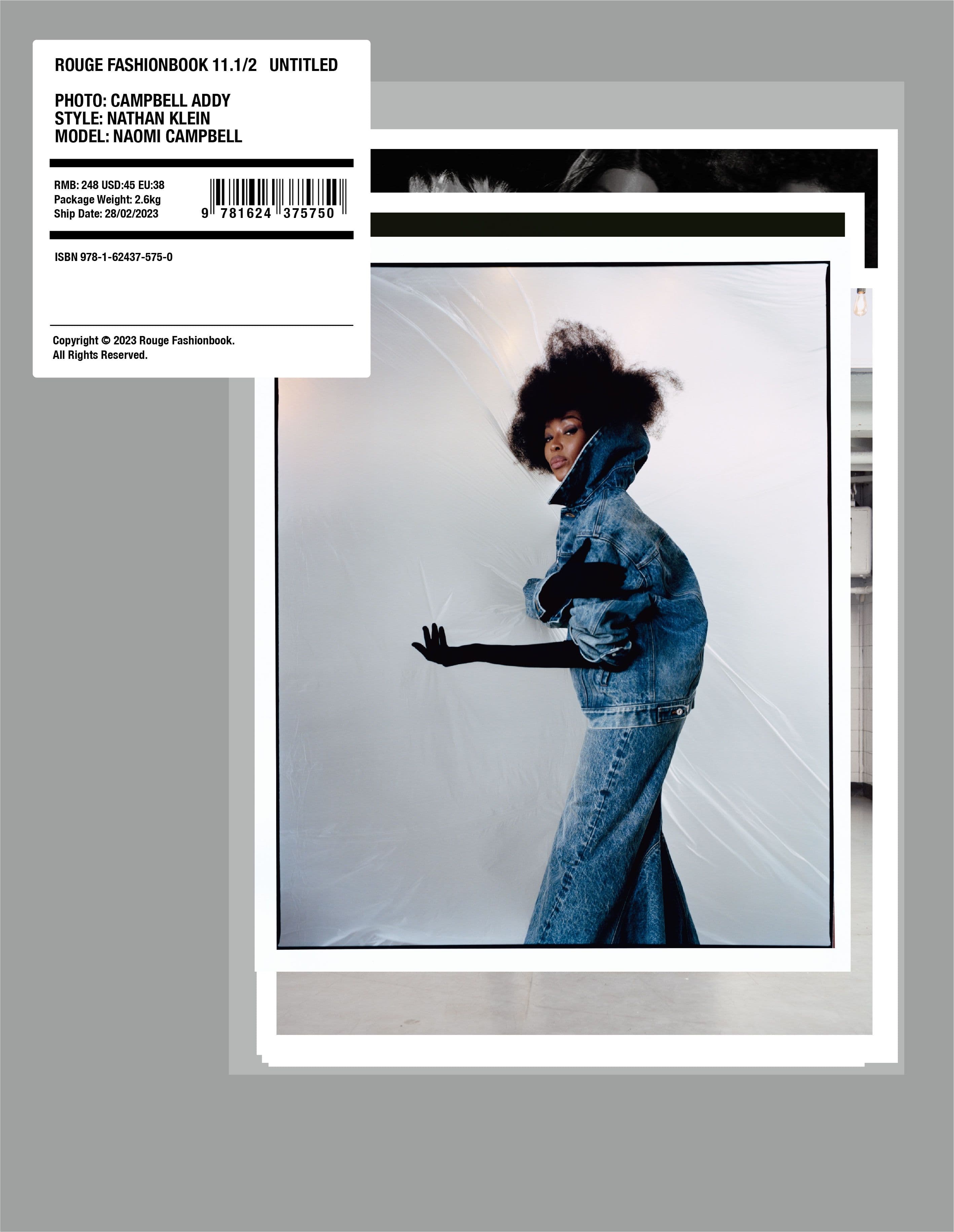 Rouge Fashion Book - Campbell Addy