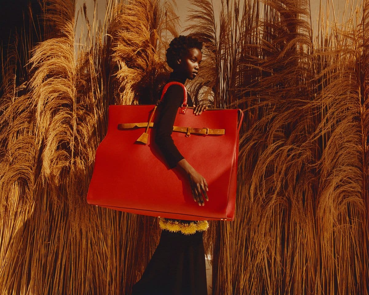 Vogue  - Theo de Gueltzl