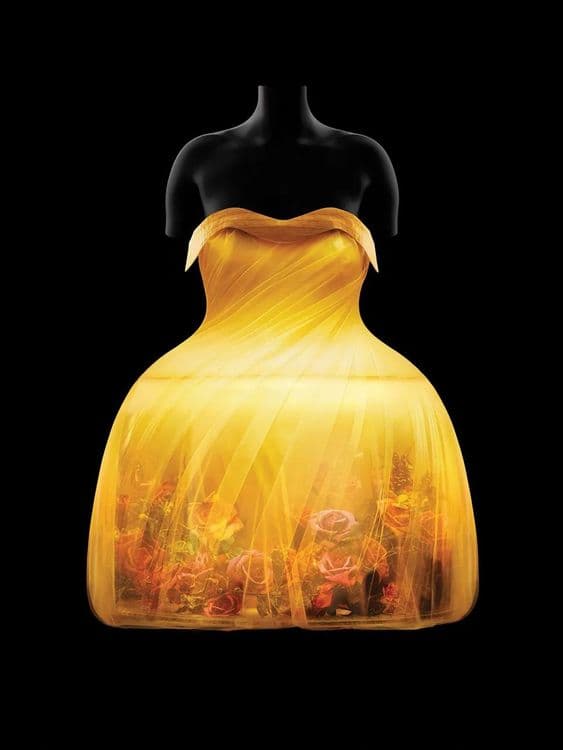 Met Gala 2024 - Sleeping Beauties: Reawakening Fashion