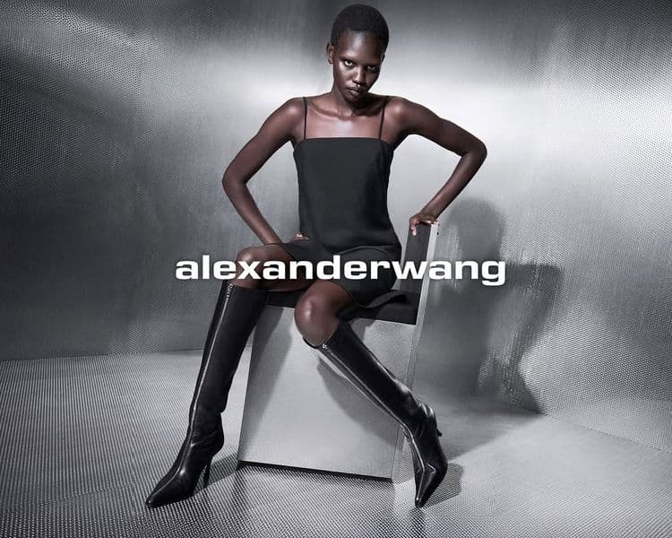Alexander Wang 