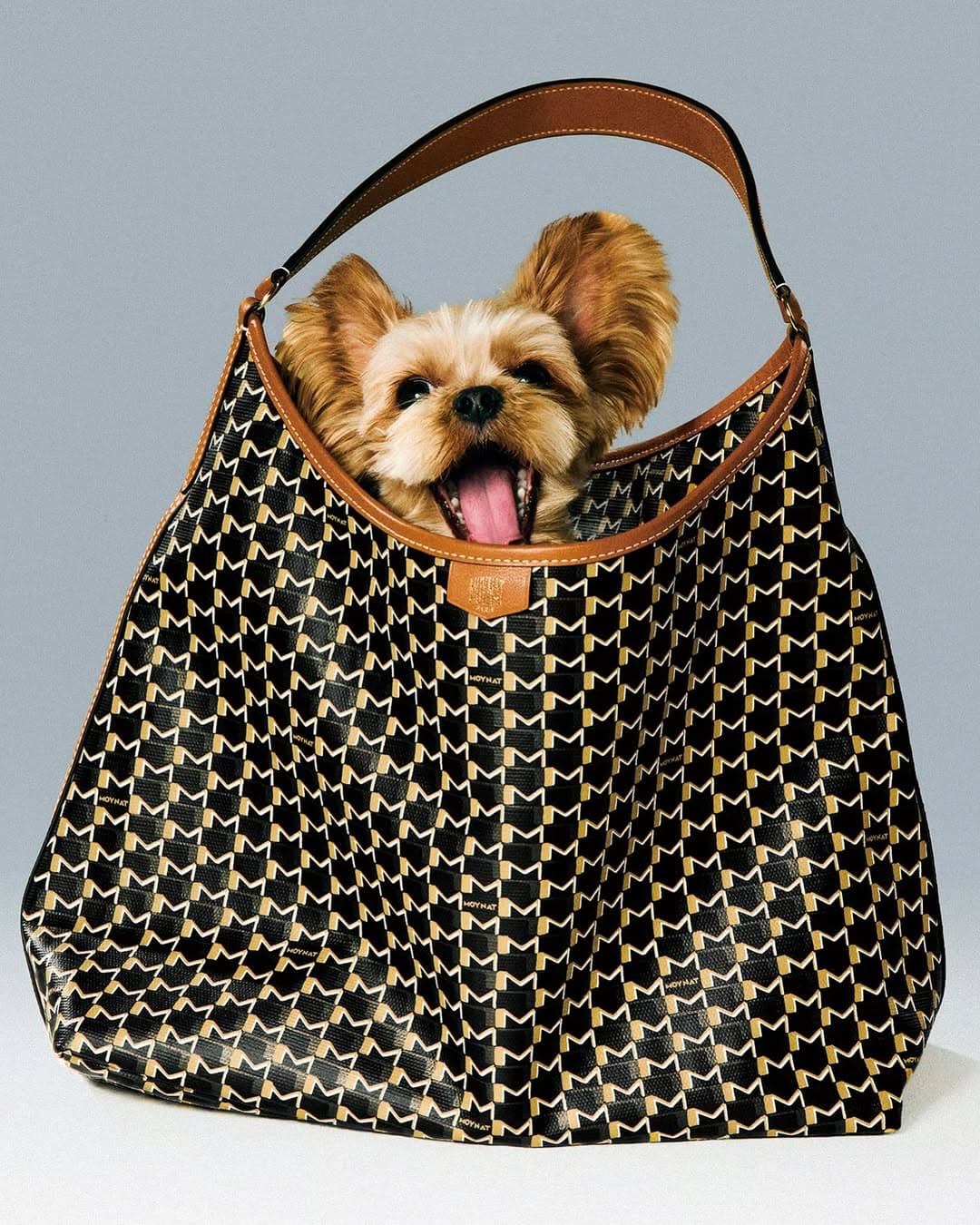 Moynat - Parisian Trunk