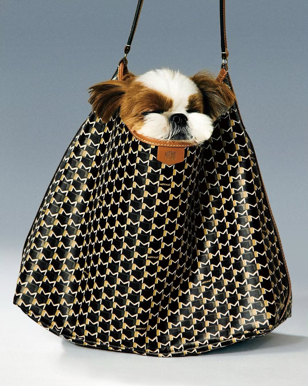 Moynat - Parisian Trunk