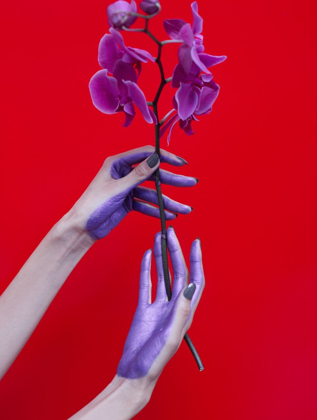Another Magazine - Viviane Sassen