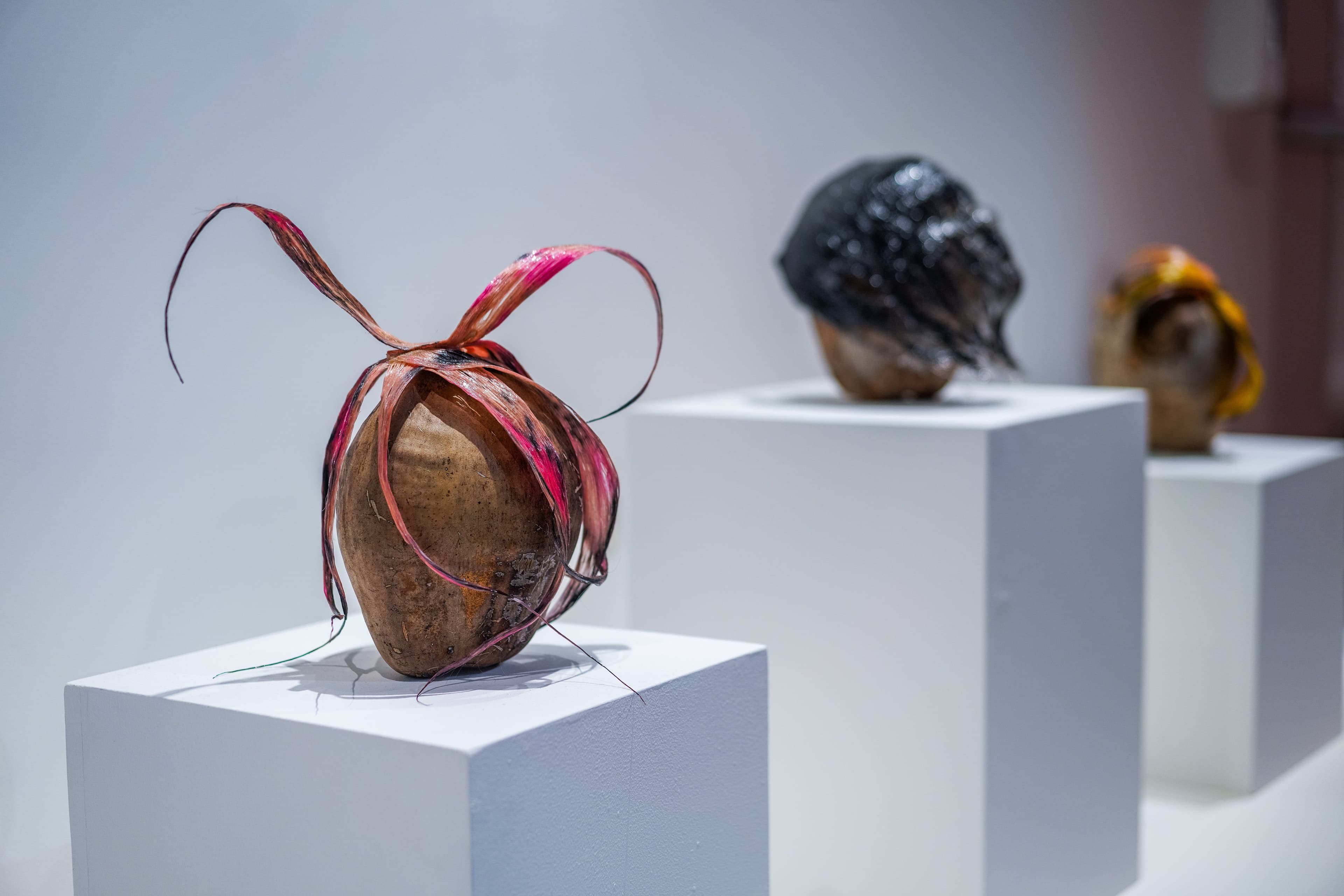 Island Underground Exhibition - Cayman Island
