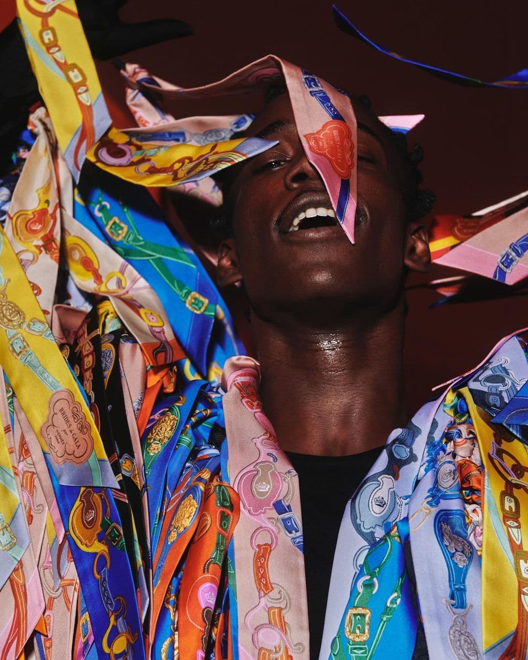 Hermès - Brides de Galaxy