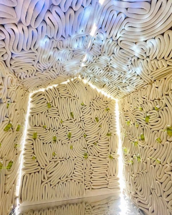 Dazed - 'Youth To The People'